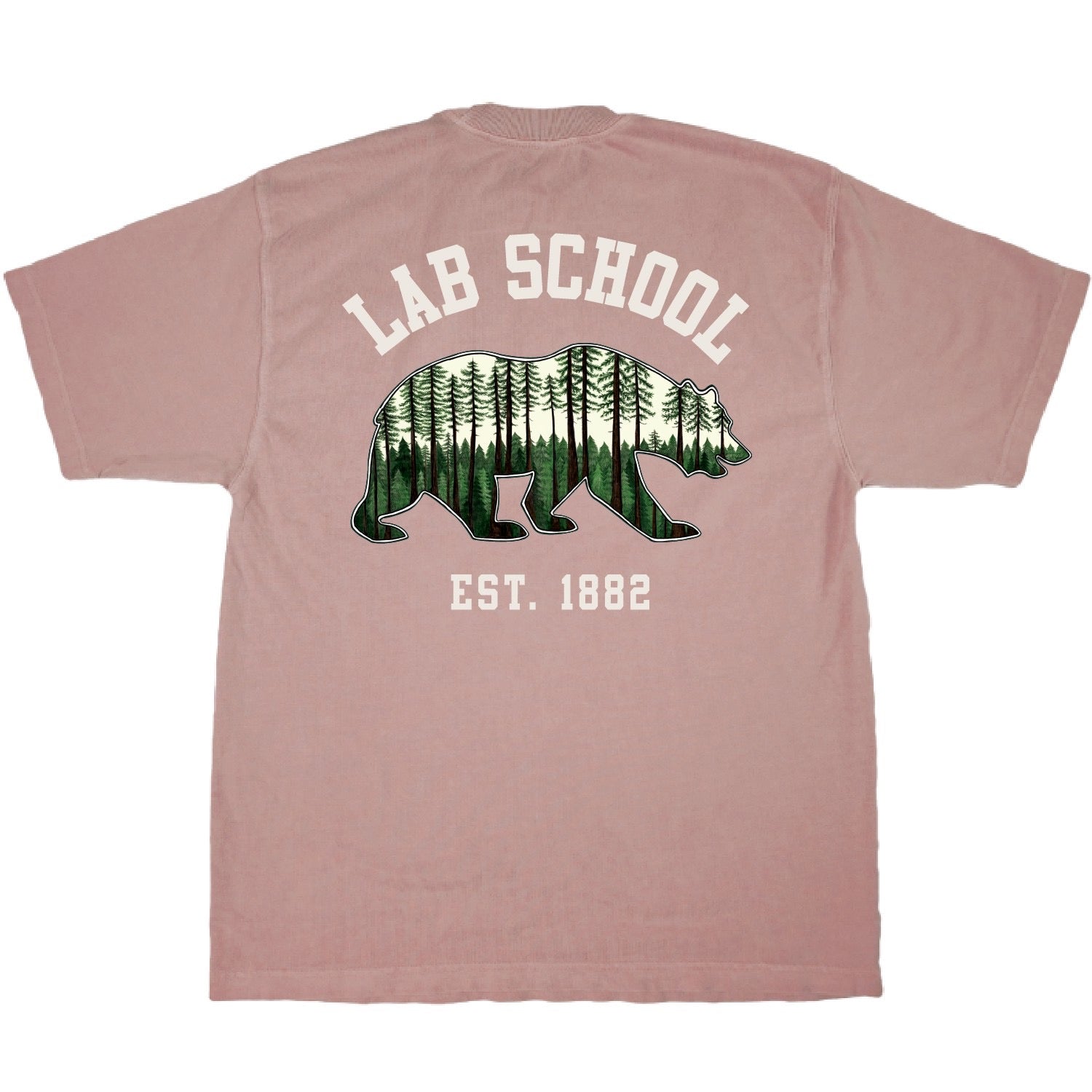 Adult Lab School Tee, Redwood Bear