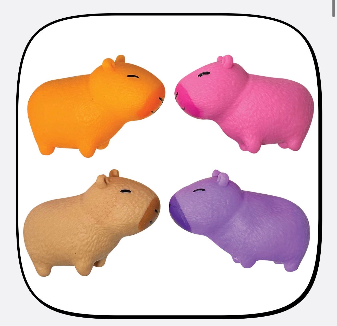 CAPYBARA STRETCHY SAND FILLED TOY